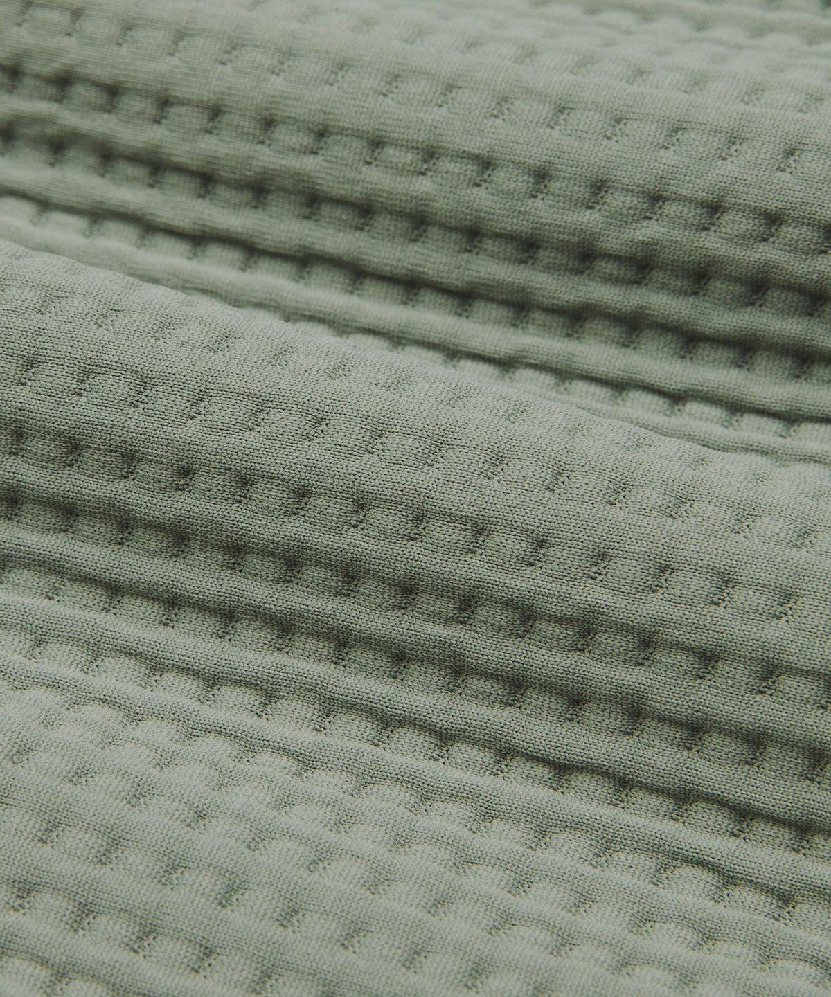 Willow Leaf