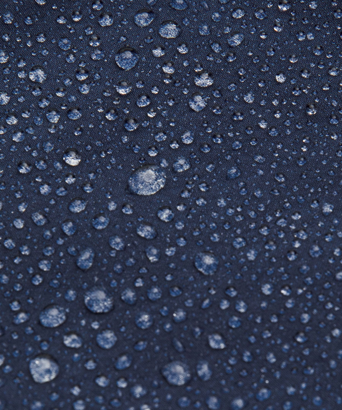 Club Blue/Club Blue