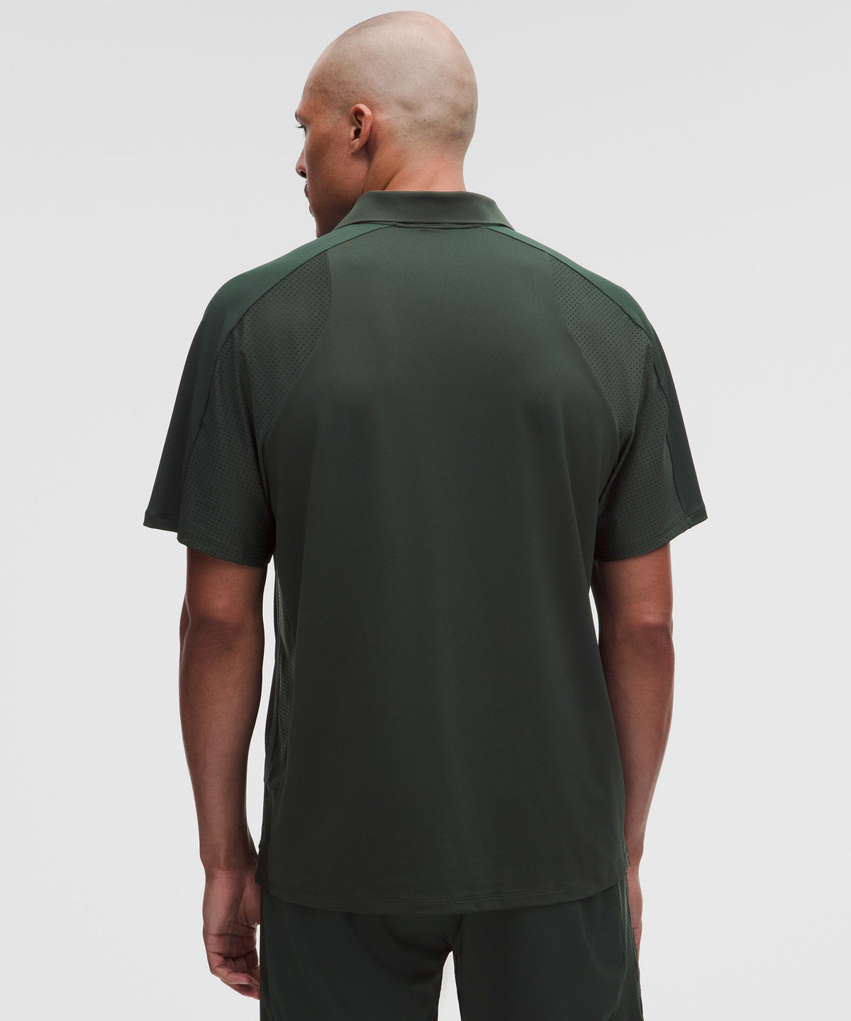Rainforest Green