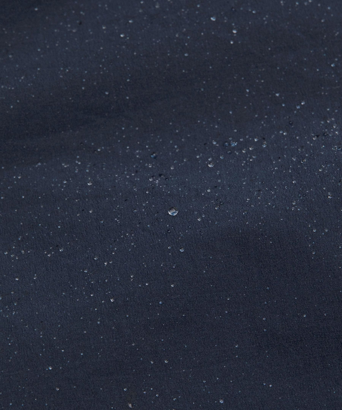 True Navy