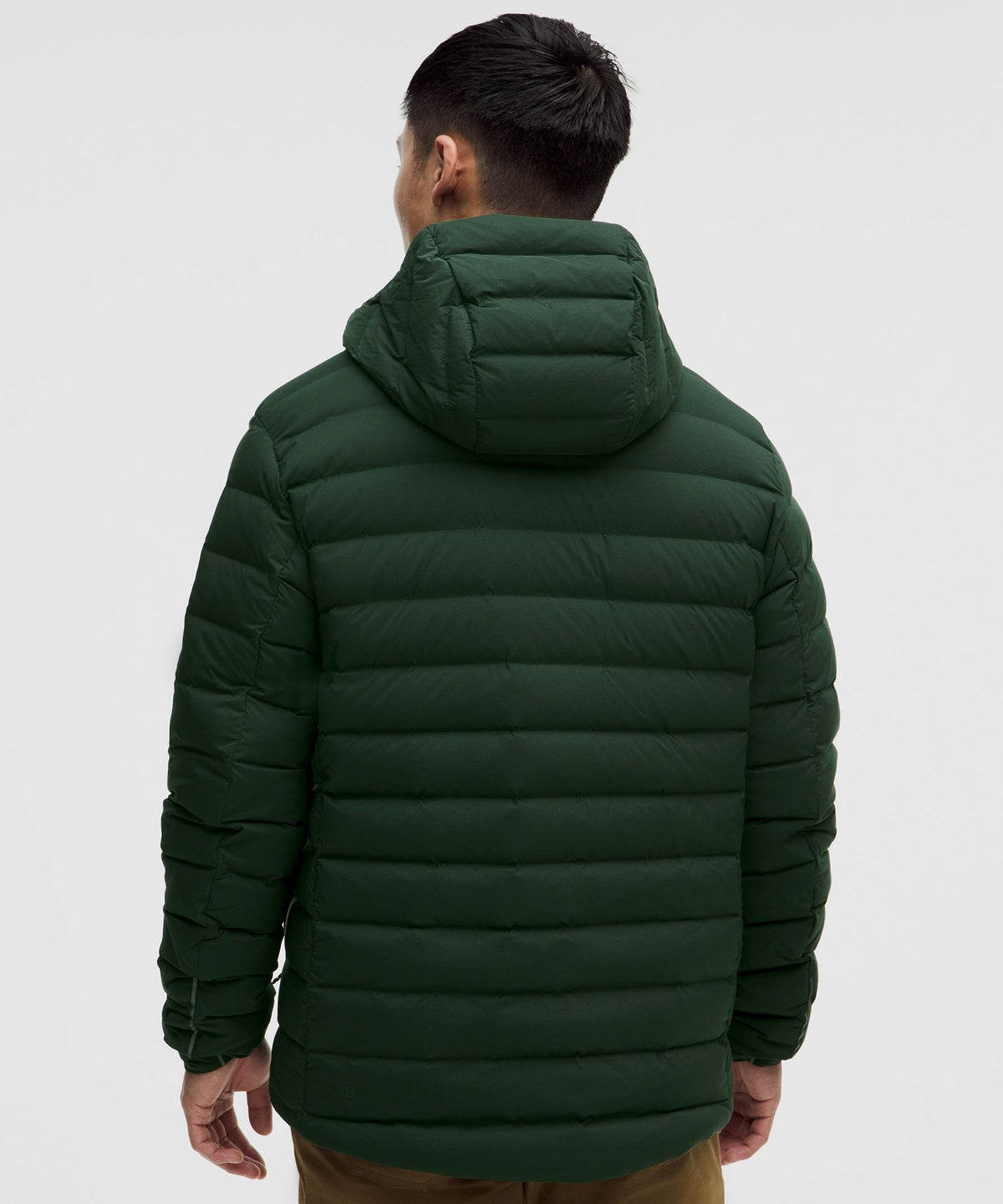 Rainforest Green