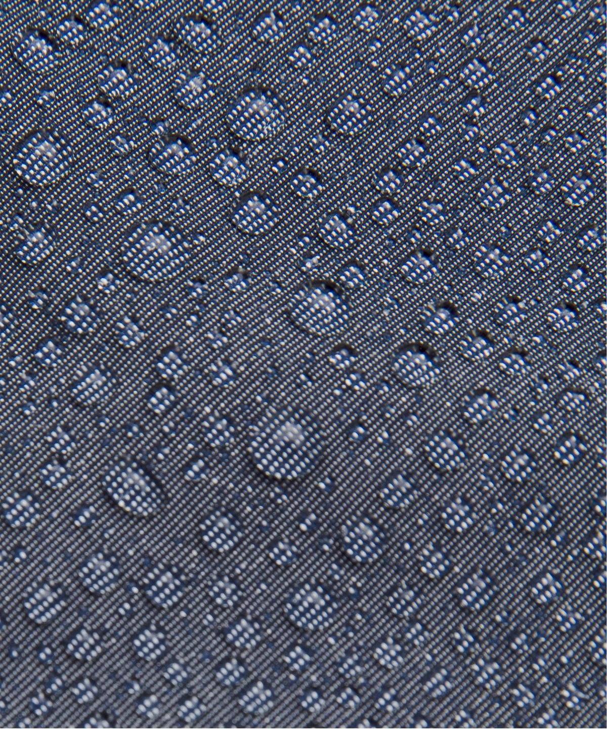 True Navy/Starch Blue