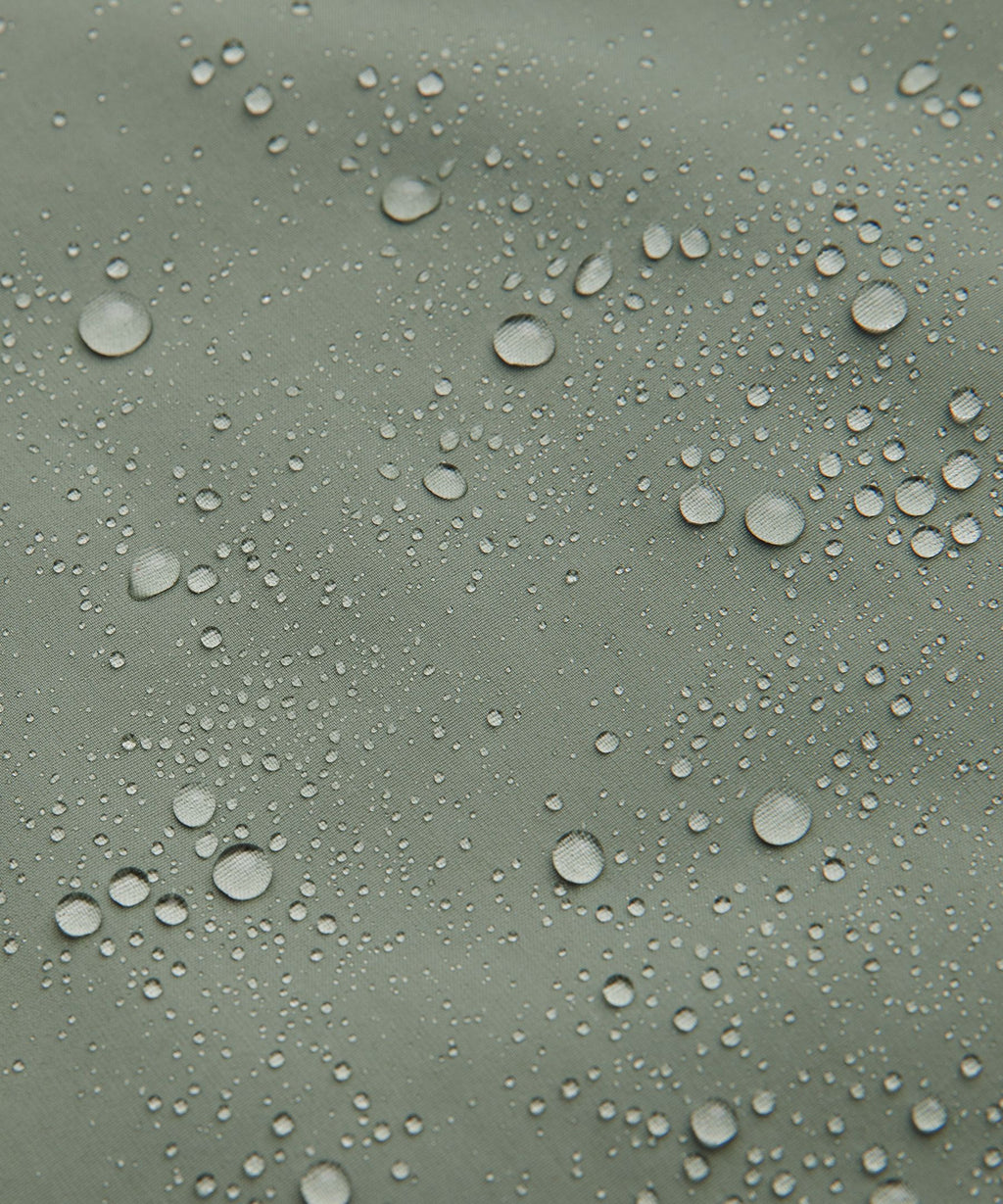 Willow Leaf