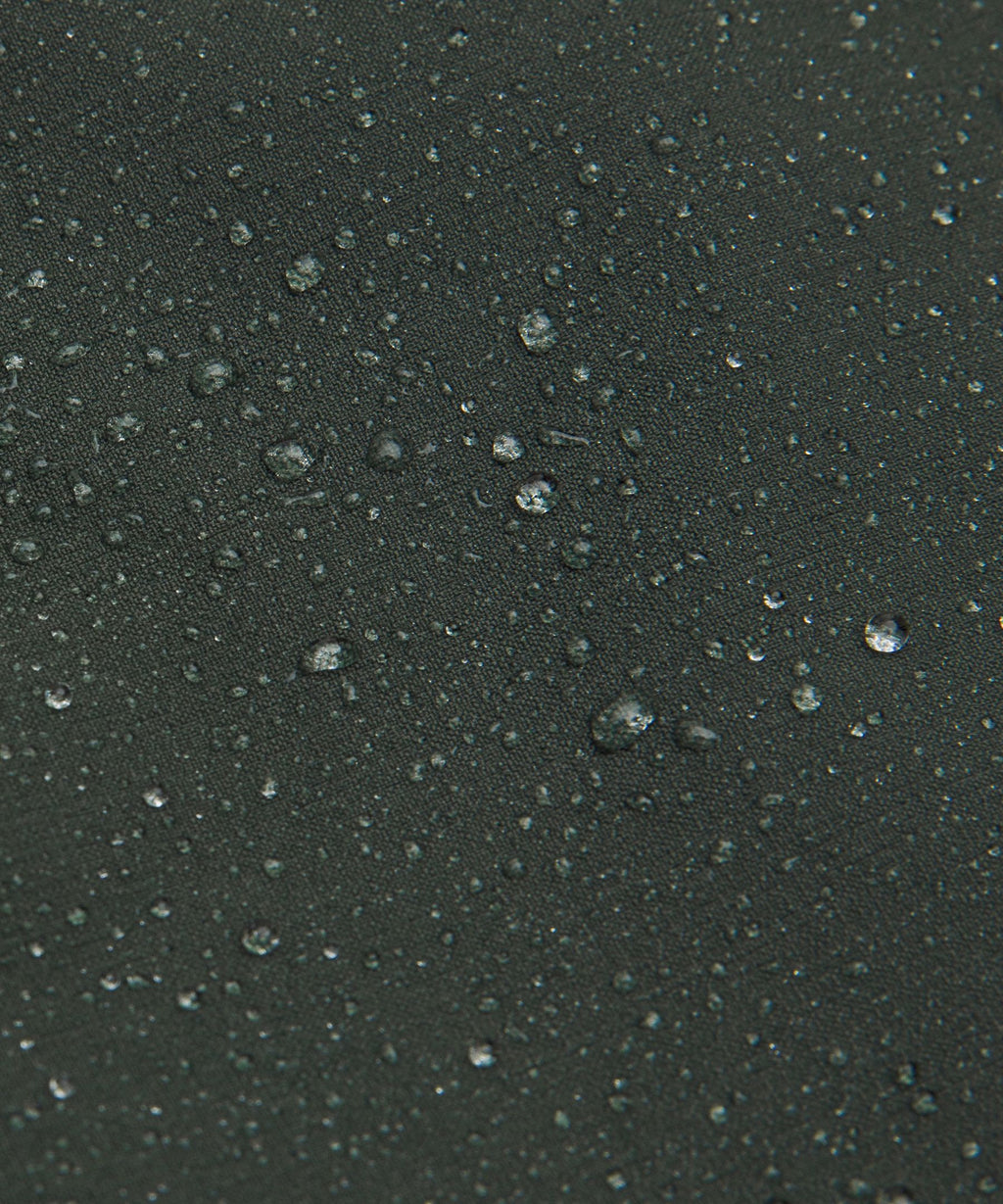 Rainforest Green