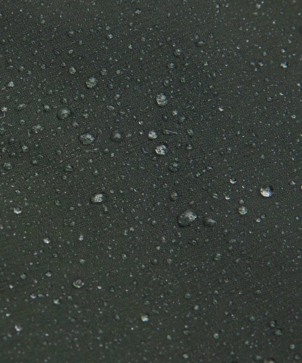 Rainforest Green
