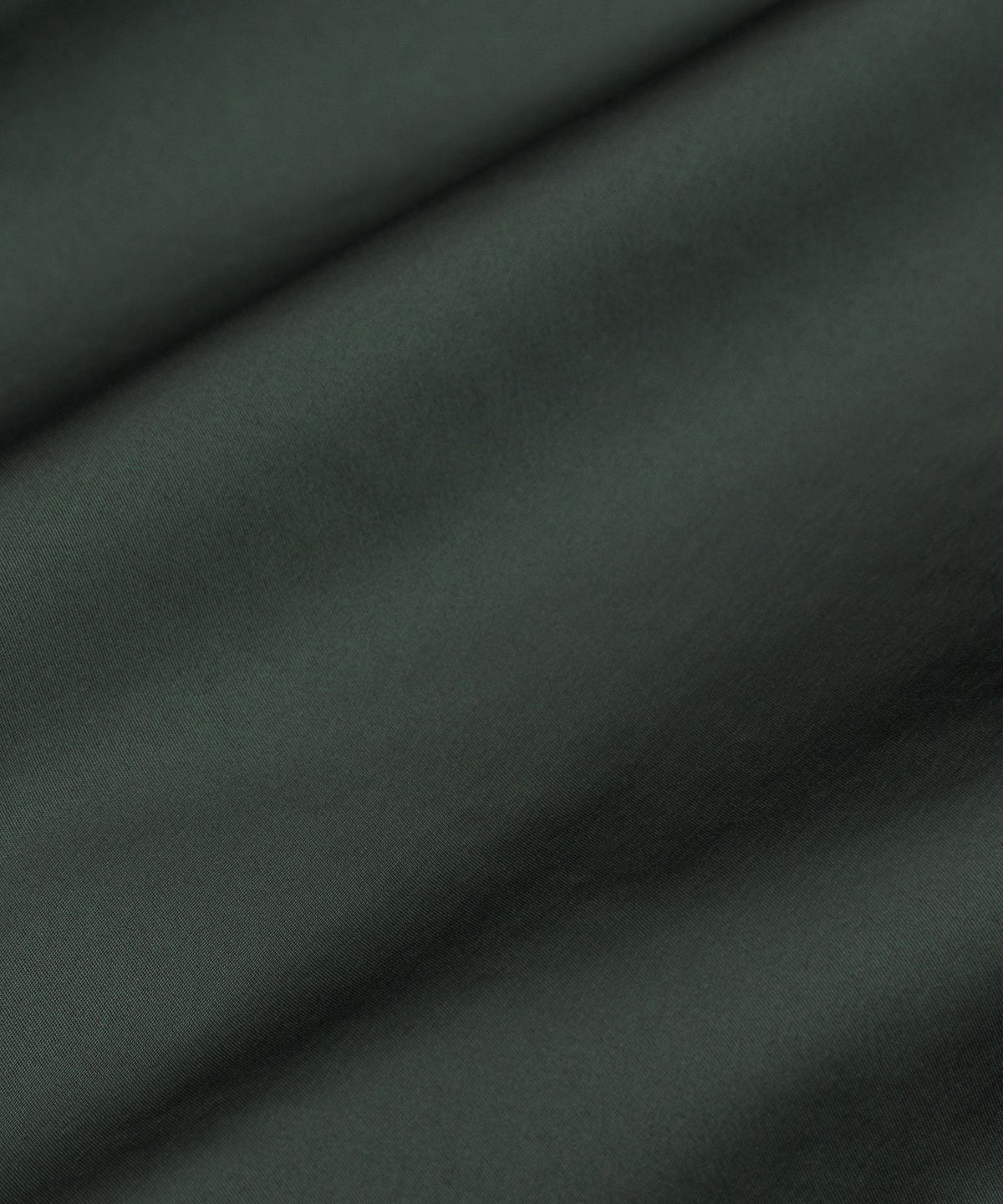 Rainforest Green