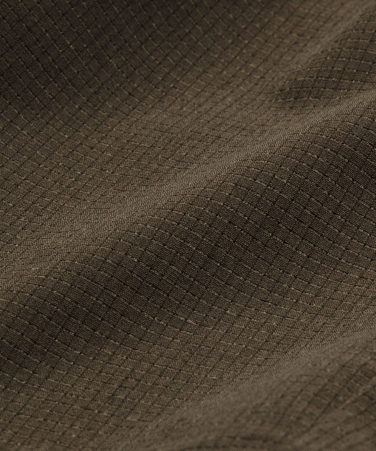 Olive Brown