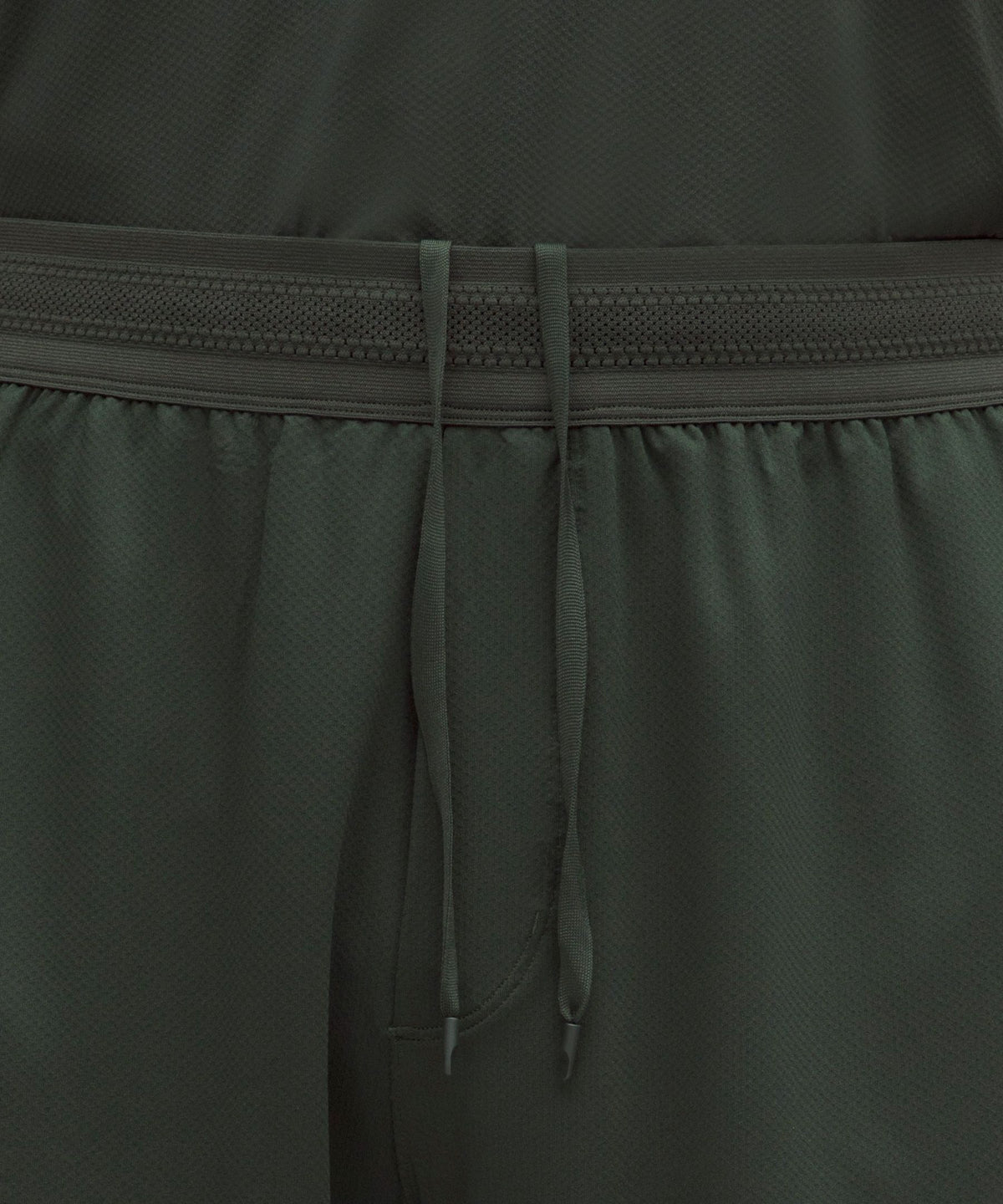 Rainforest Green