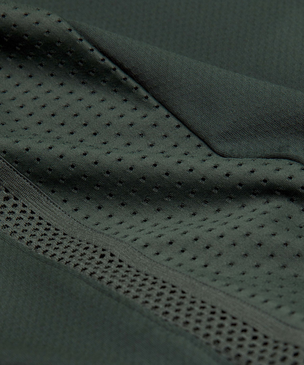 Rainforest Green