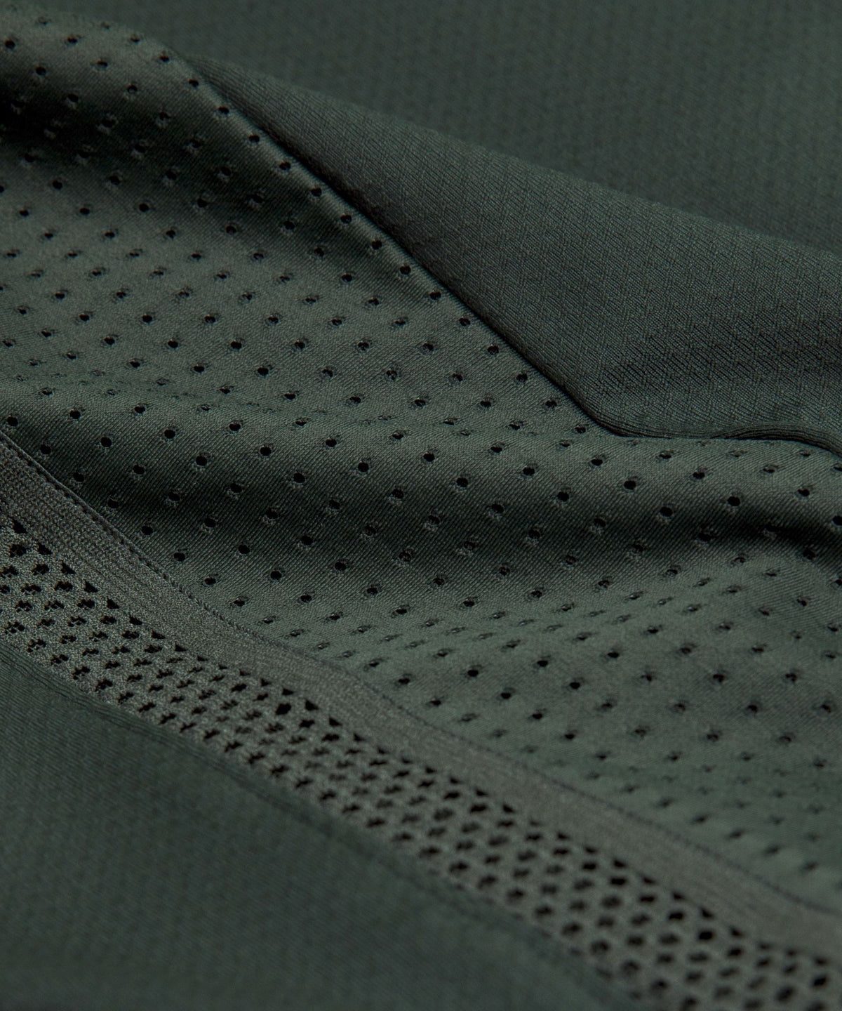 Rainforest Green