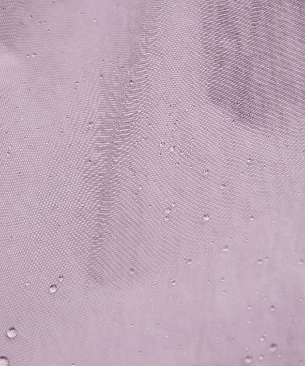 Lotus Lavender