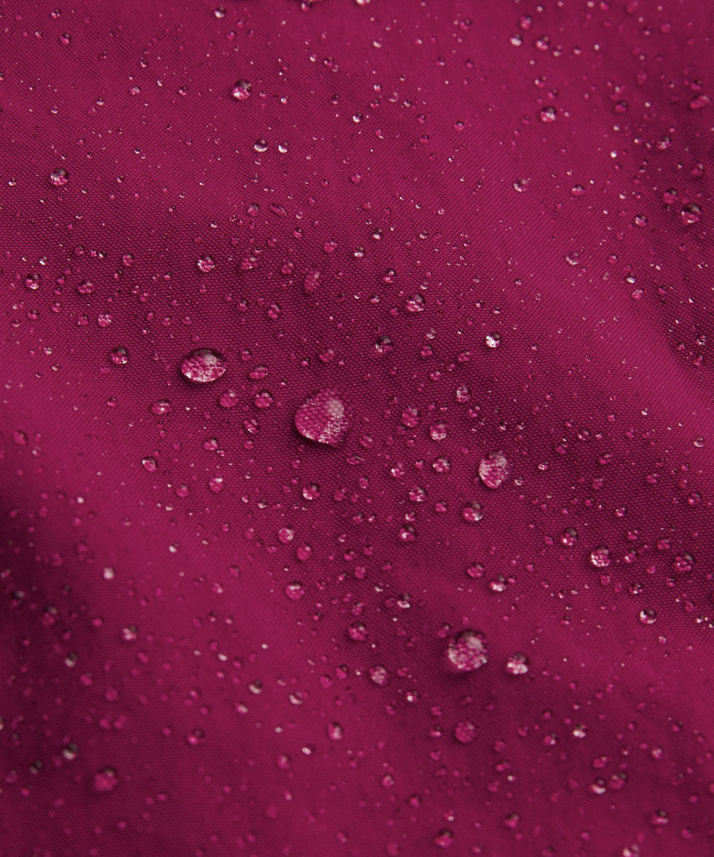 Raspberry Rave