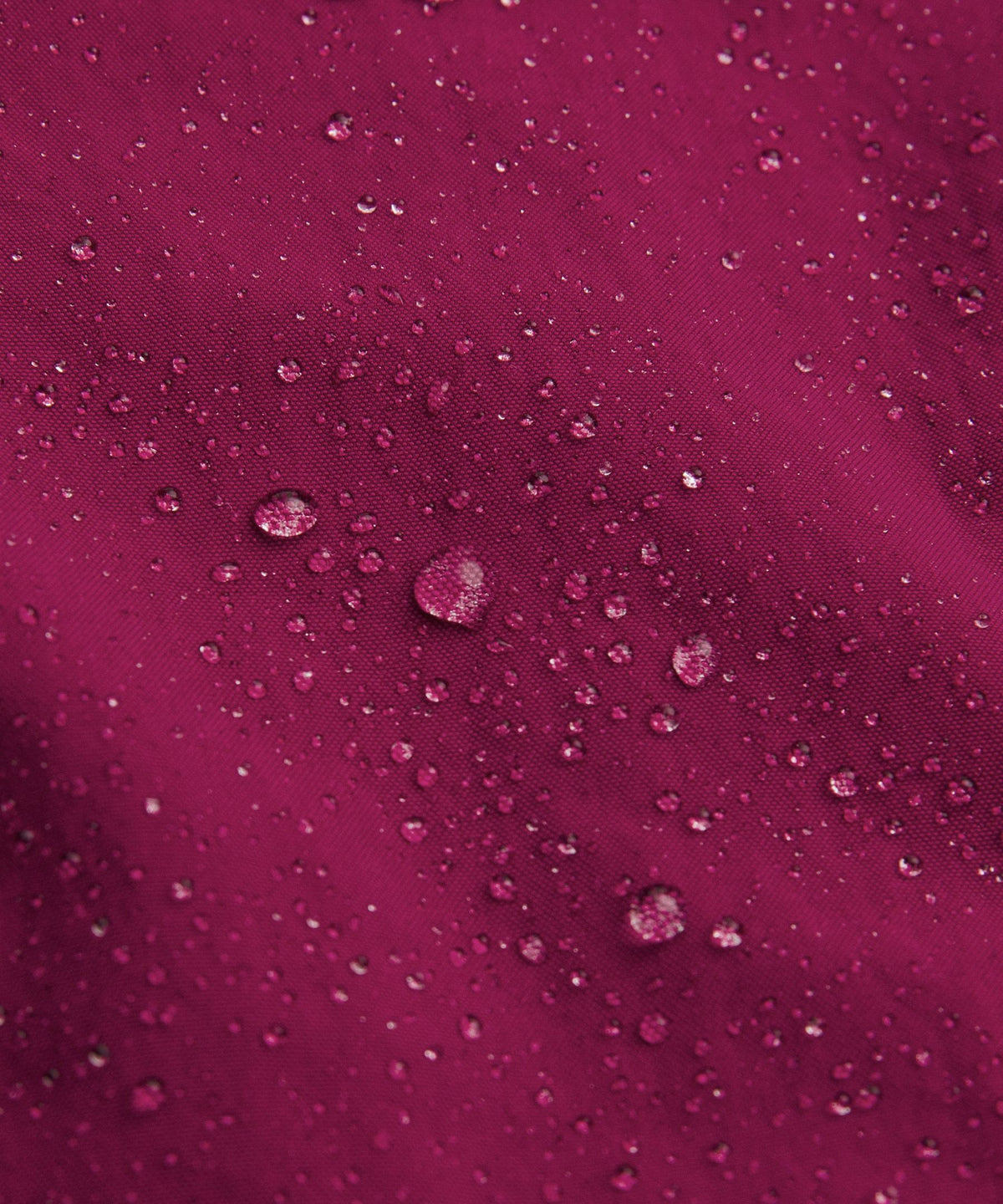 Raspberry Rave