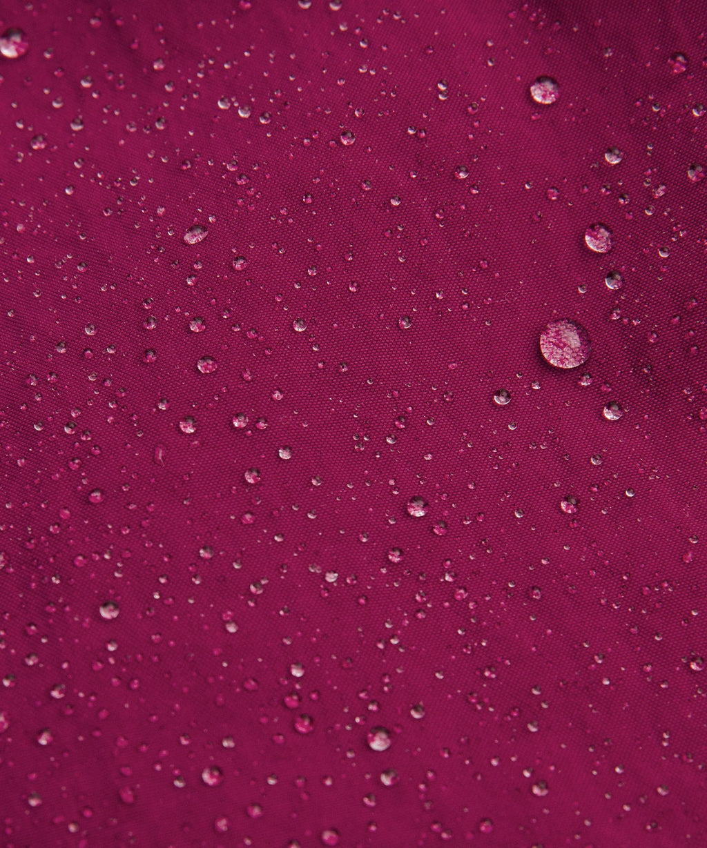 Raspberry Rave