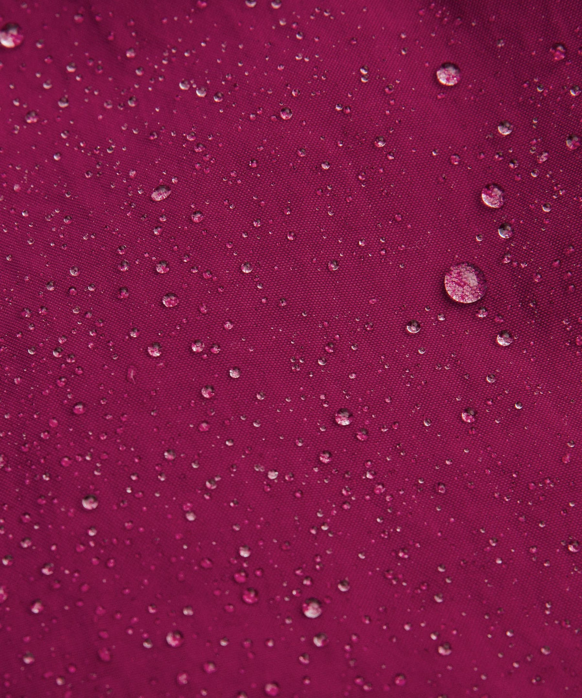 Raspberry Rave