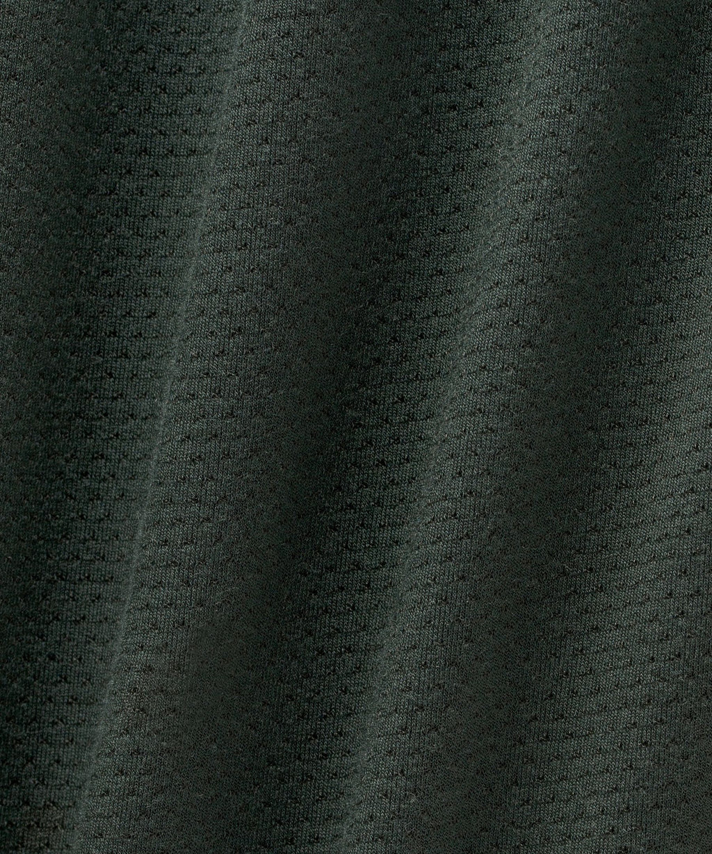 Rainforest Green