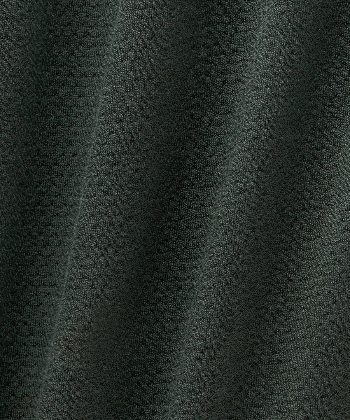 Rainforest Green