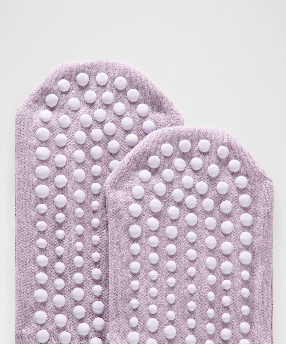 Lotus Lavender