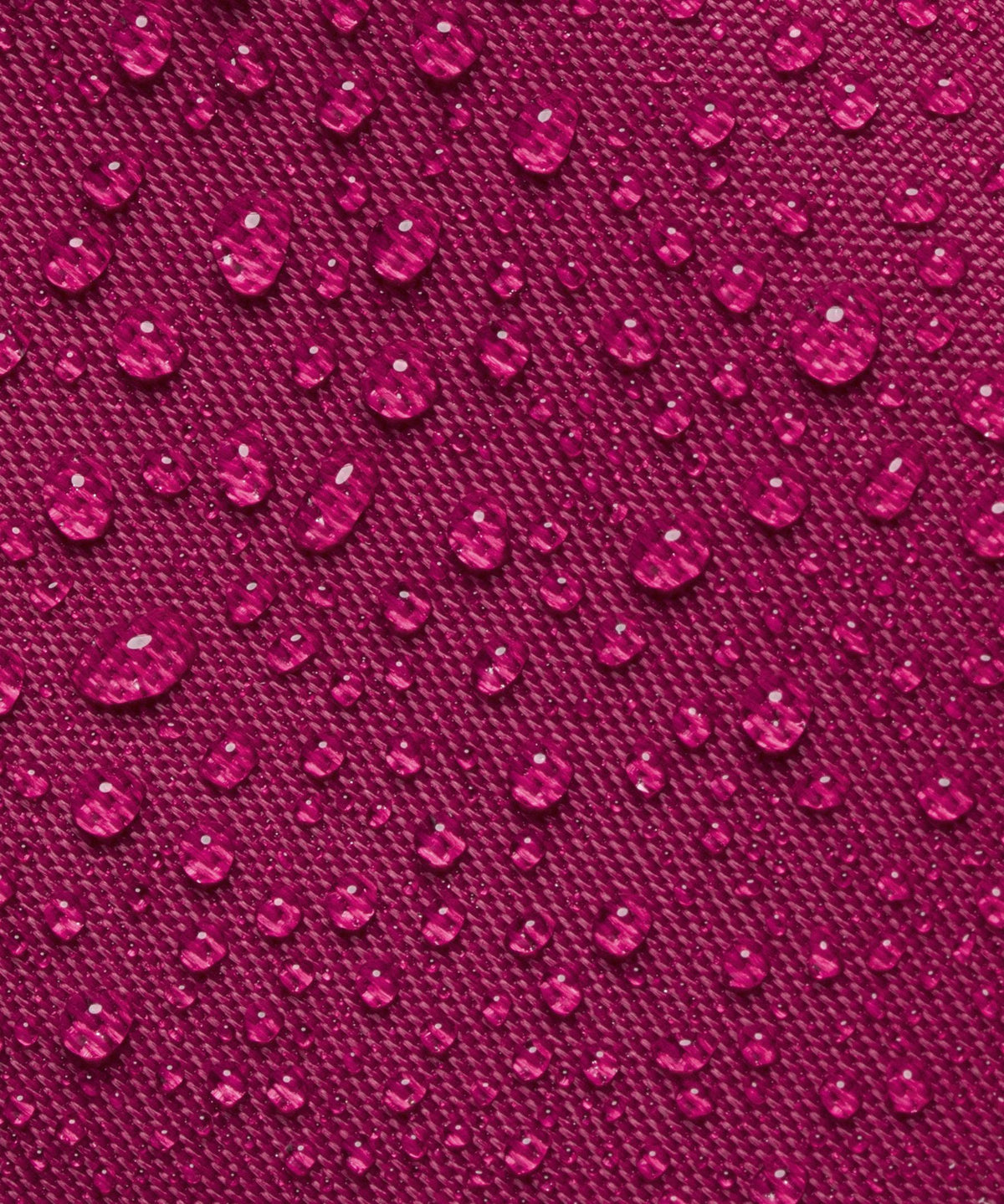 Raspberry Rave