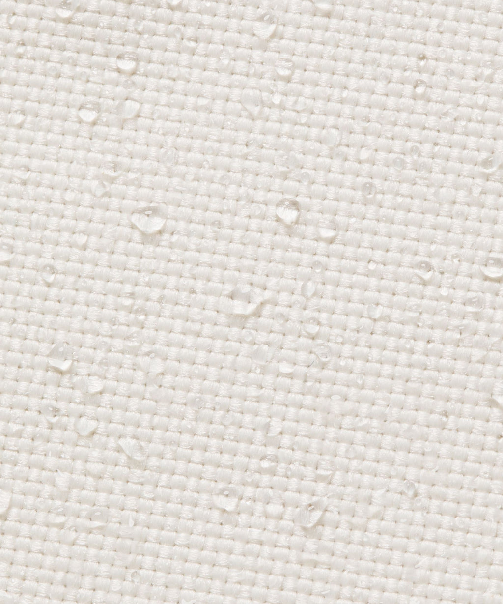 Light Ivory/Wacky Khaki/Willow Leaf