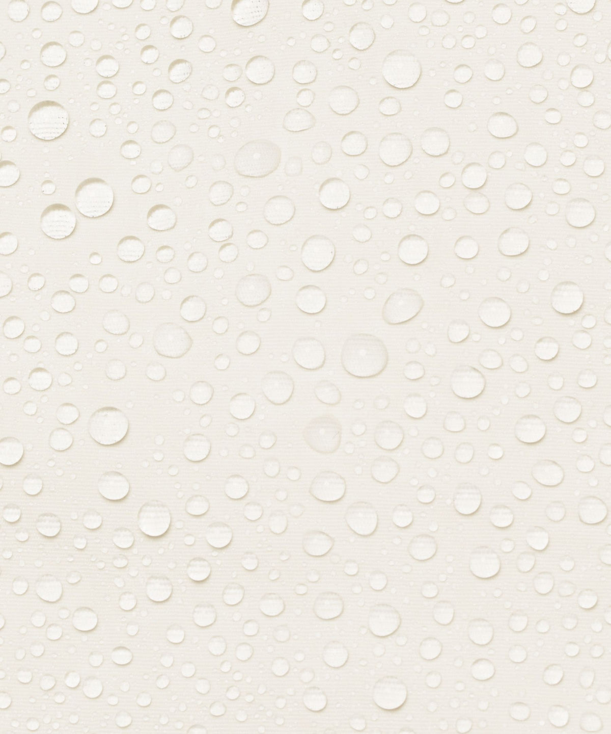 Light Ivory/Gold