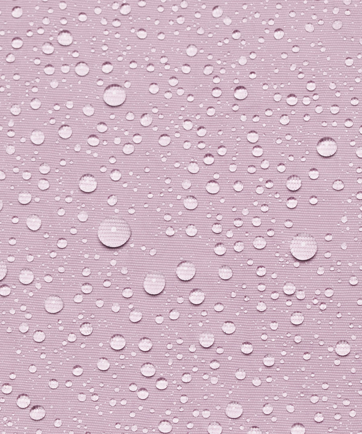 Lotus Lavender/Lilac Play/Silver