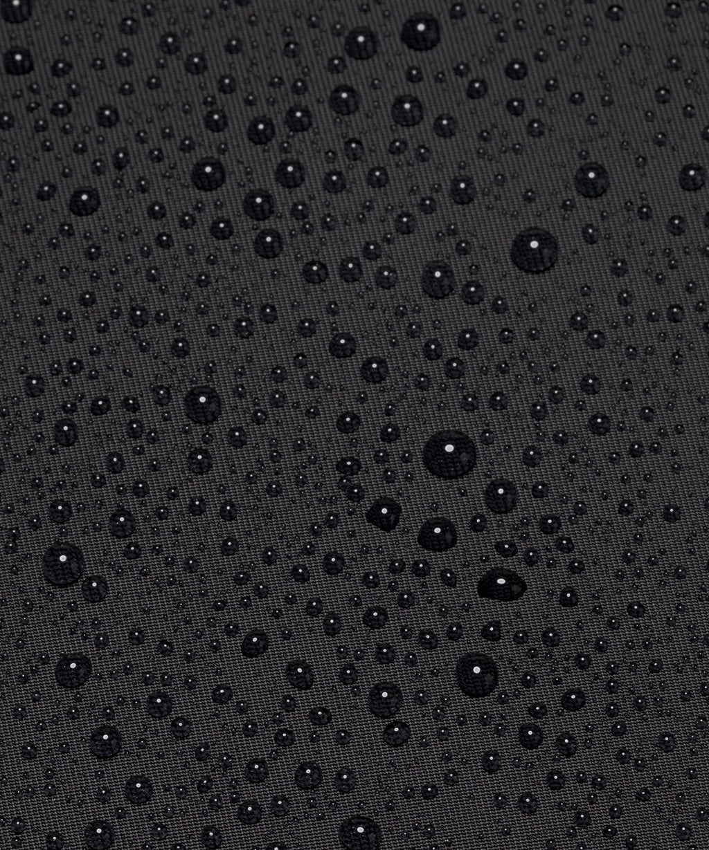 Black/Silver