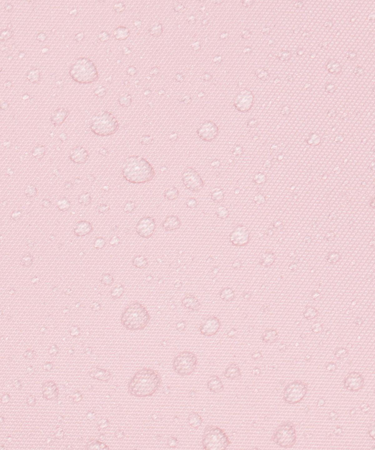 Pink Pearl/Rose Gold