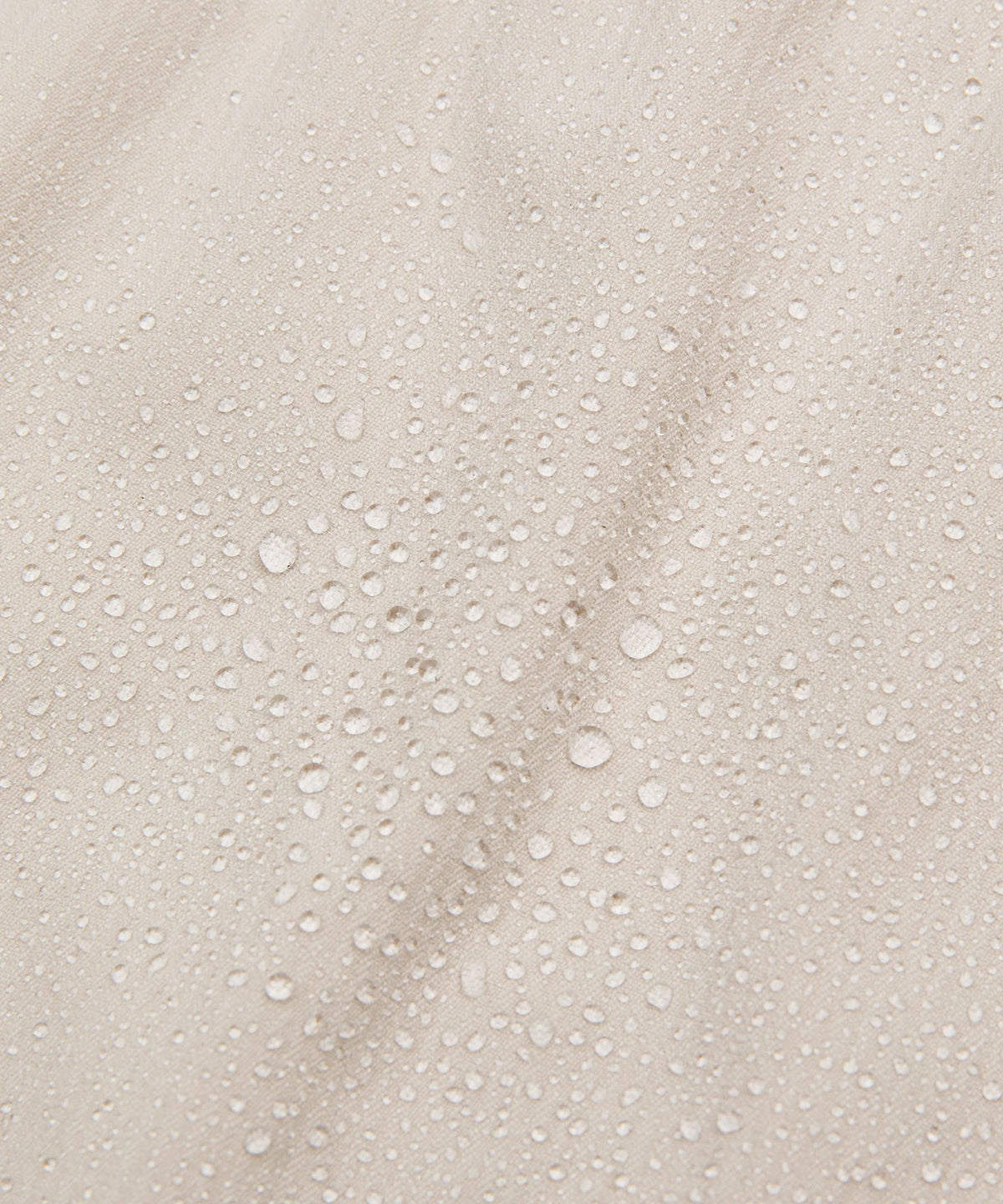 Sand Dollar/White