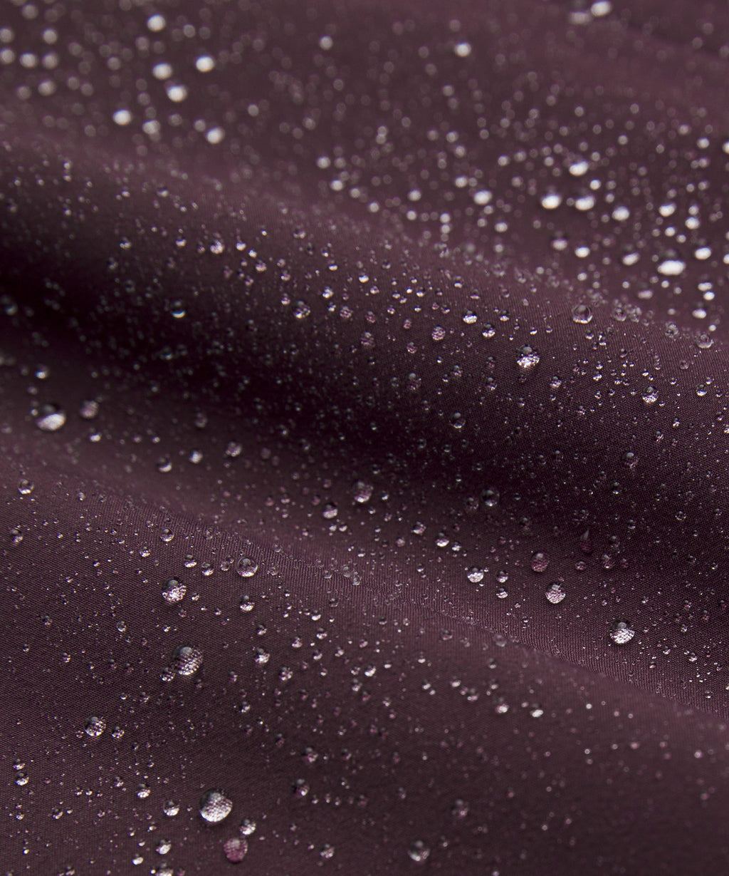 Black Plum