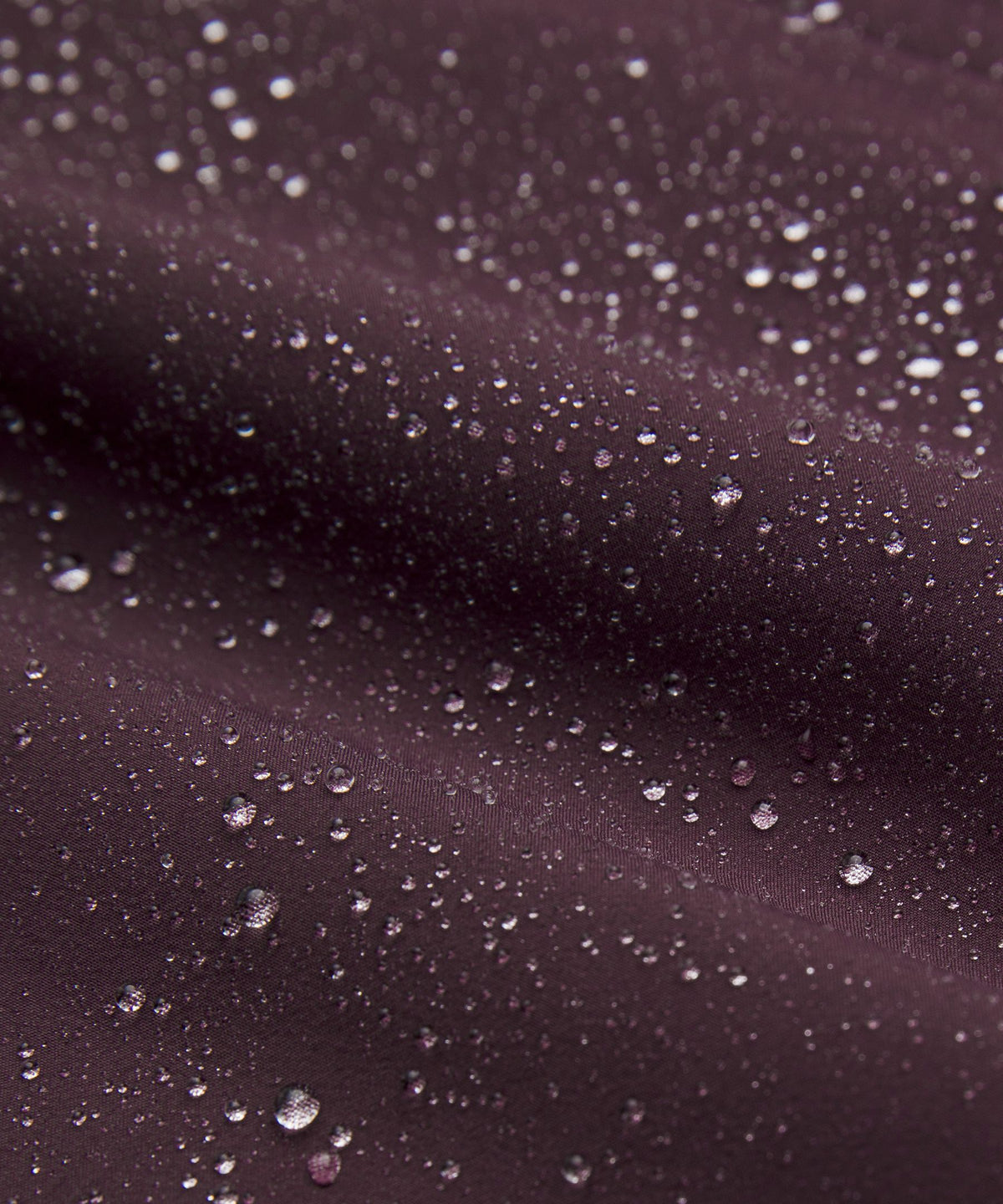 Black Plum