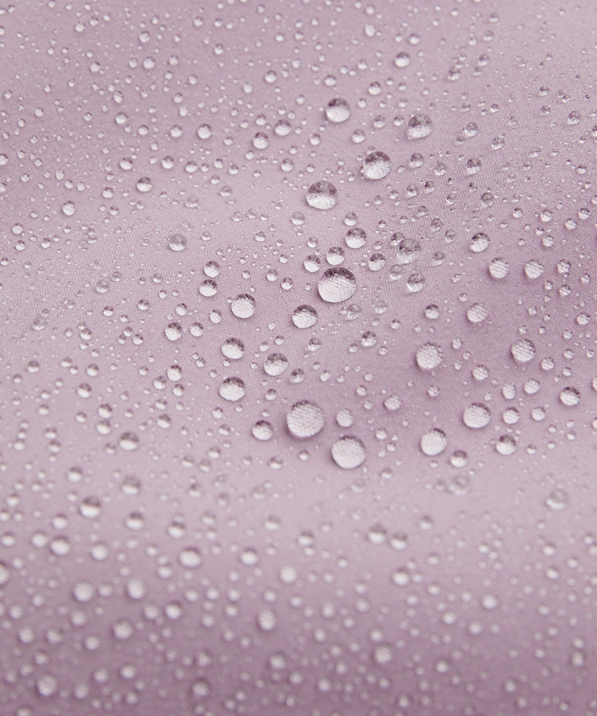 Lotus Lavender