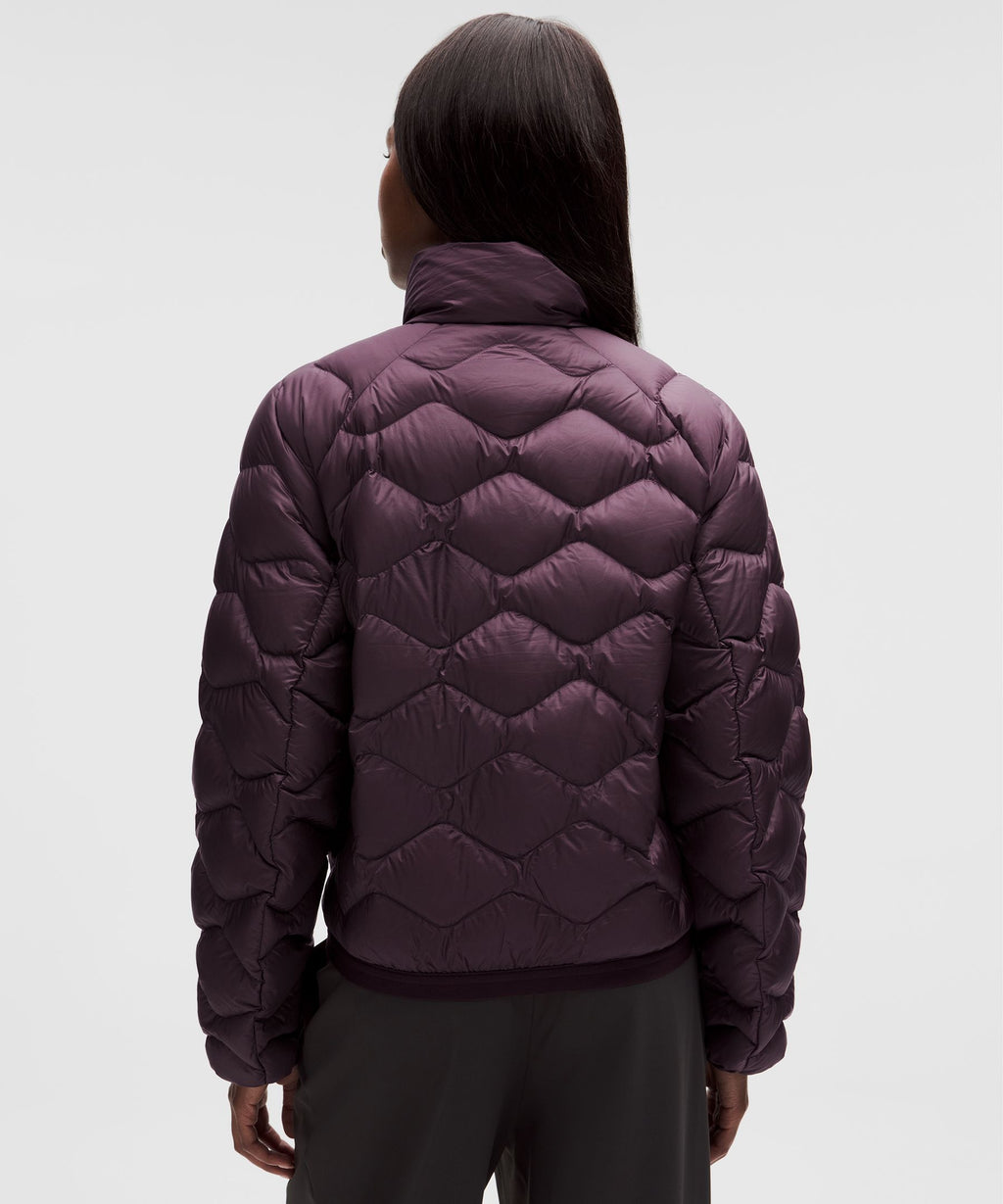 Black Plum