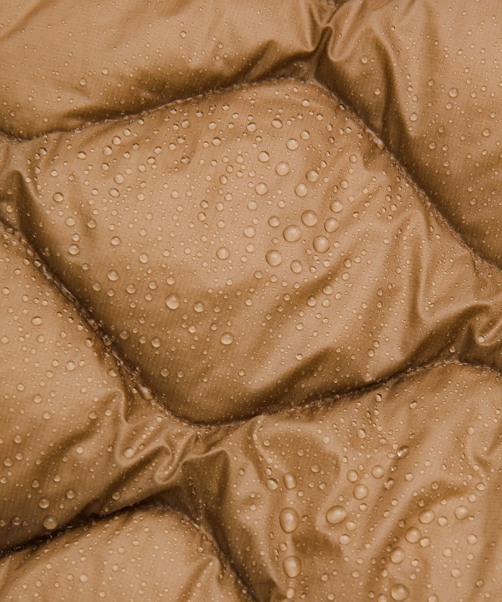 Camel Brown
