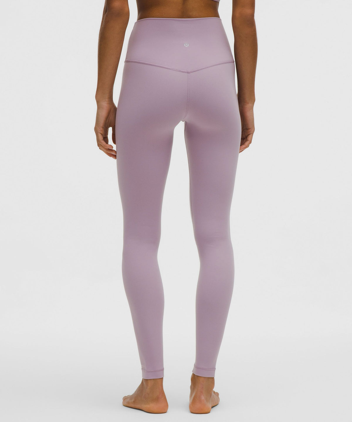 Lotus Lavender