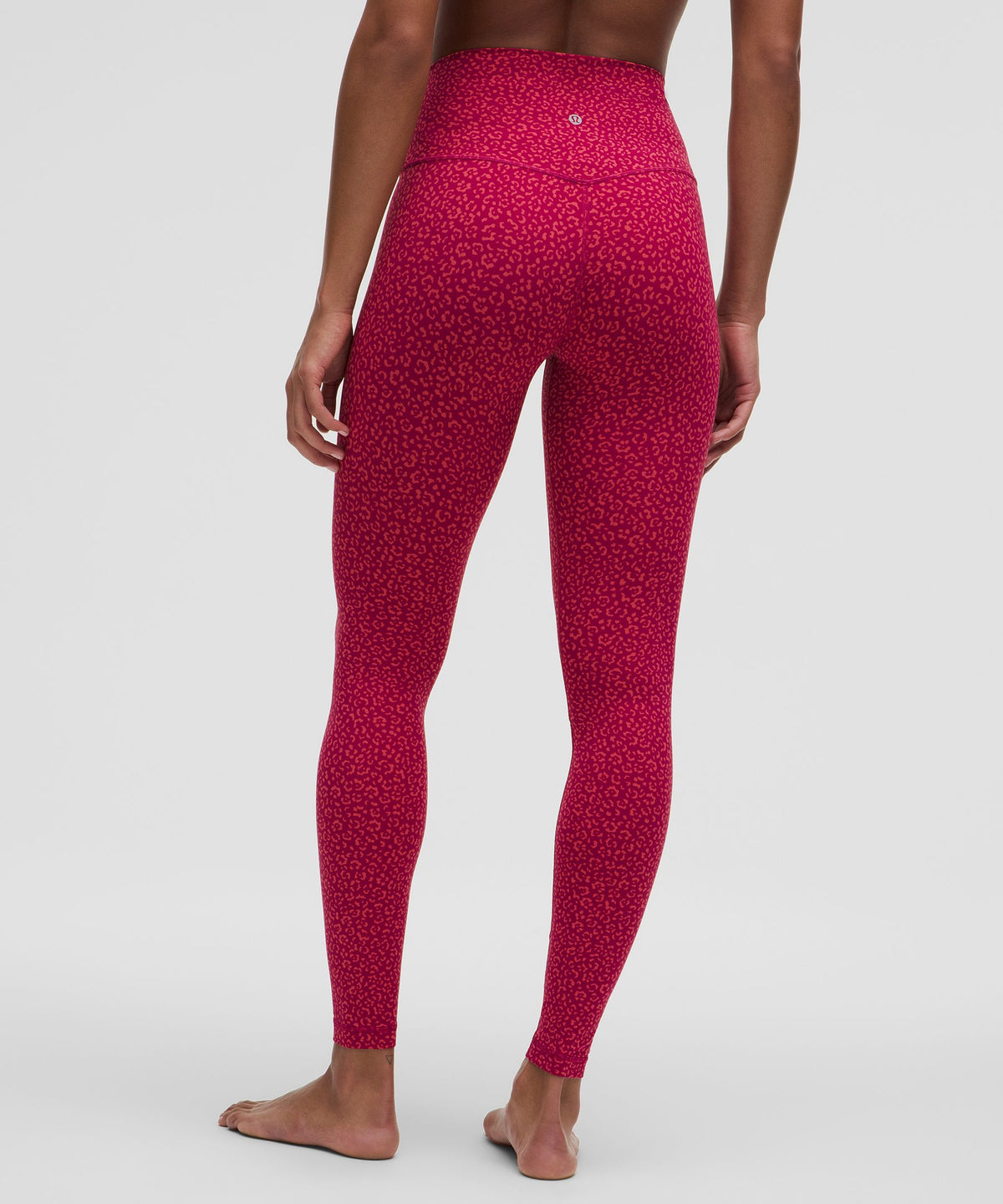 Leopard Daisy Desert Red Magenta Smoke