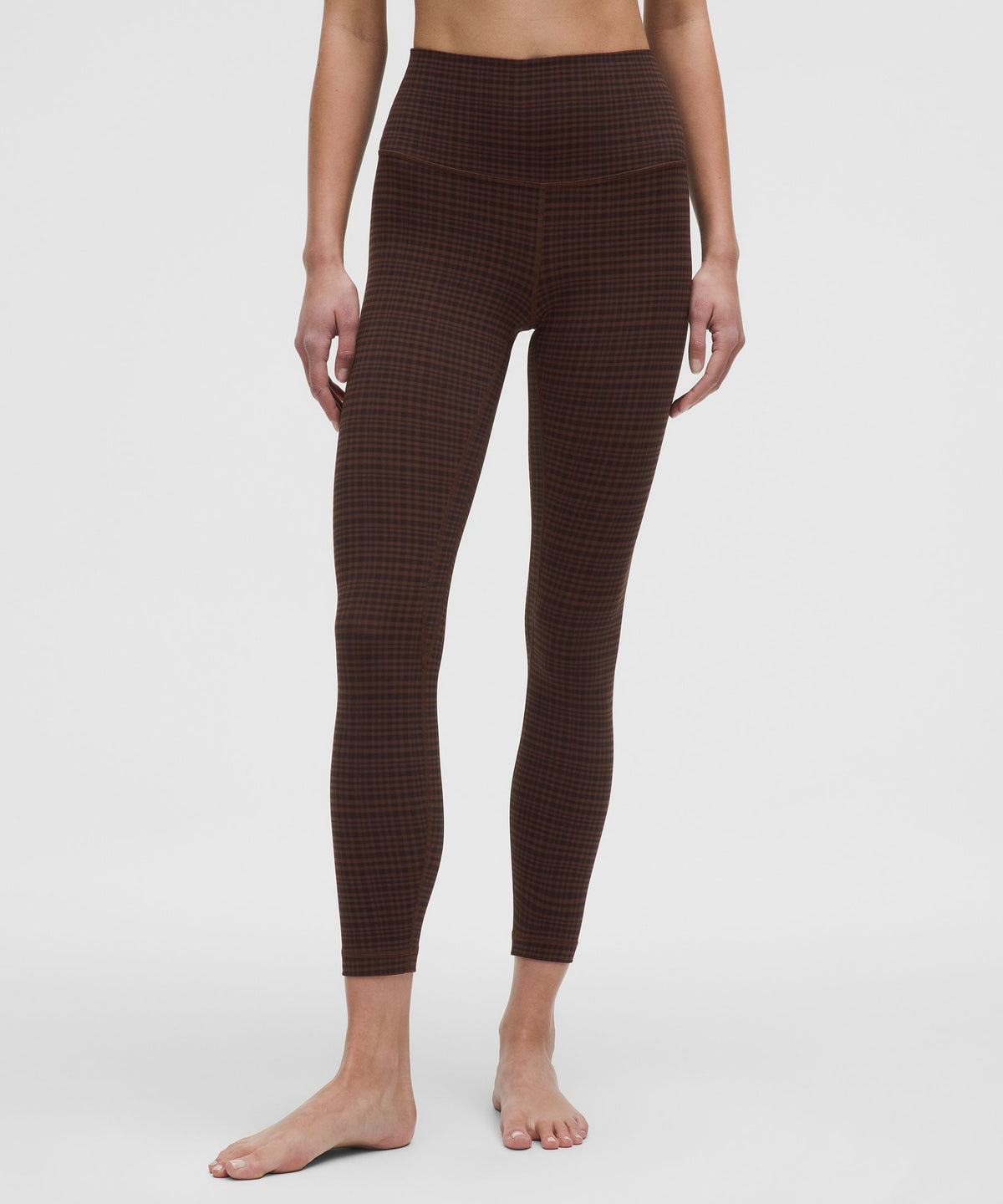 Glow Grid Lava Cake Multi