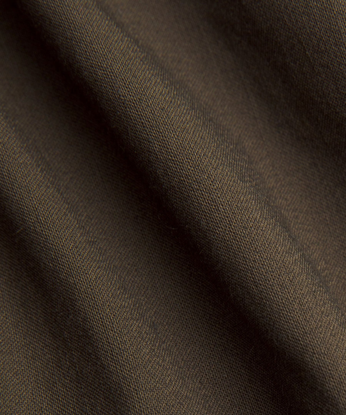 Olive Brown