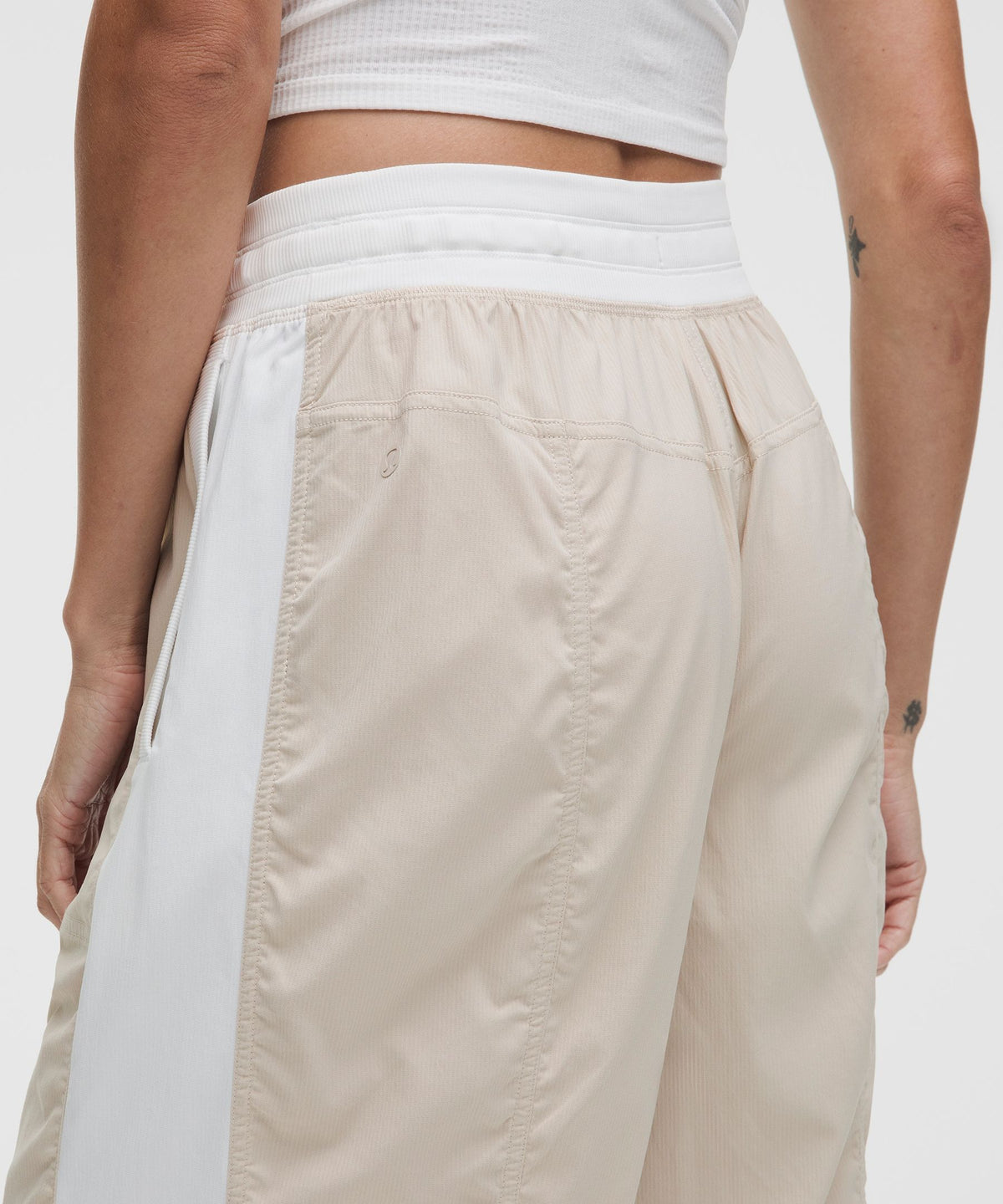 Sand Dollar/White