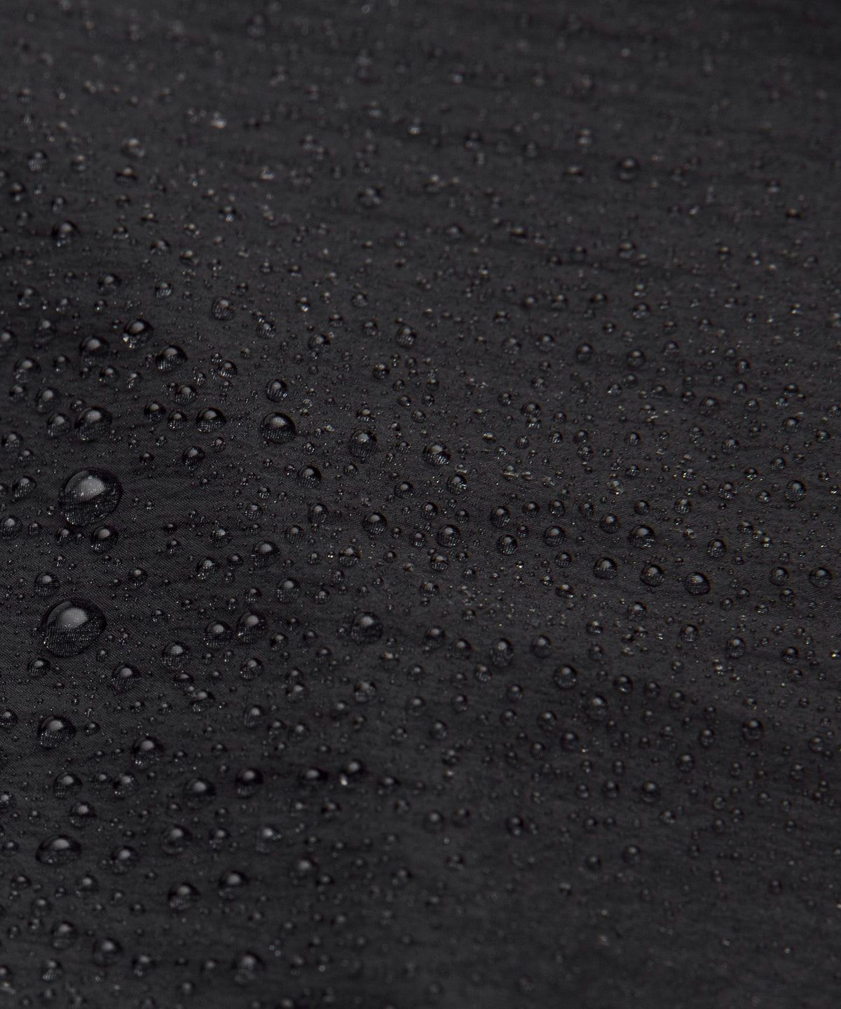 Black/Traverse Grey